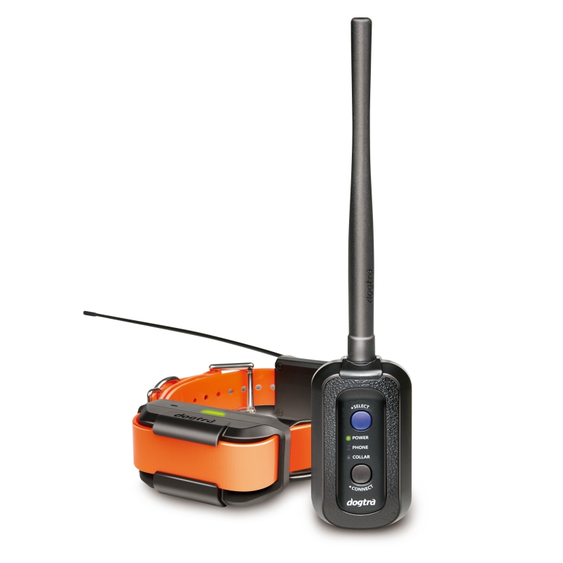 Dogtra Pathfinder
